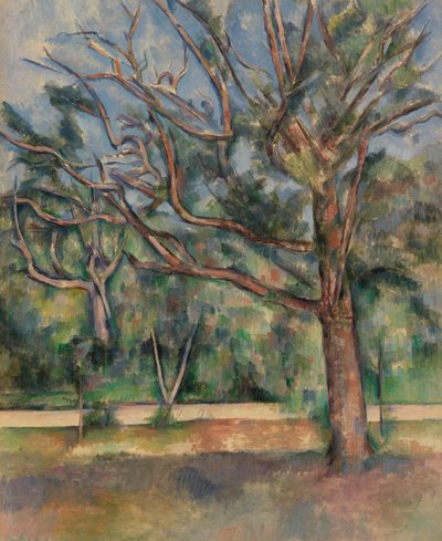 Trees and Road, c.1890 by Paul Cézanne